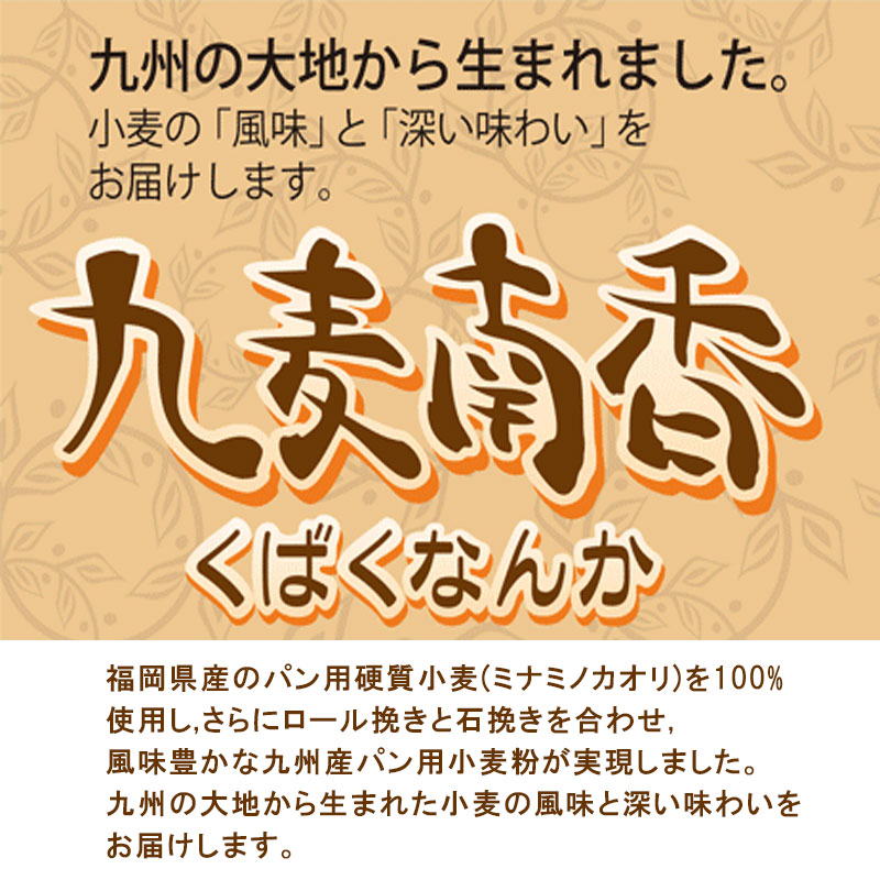 大陽製粉　九麦南香　2.5KG