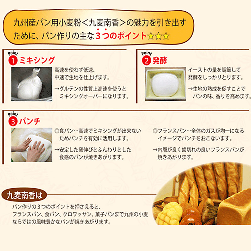 大陽製粉　九麦南香　2.5KG